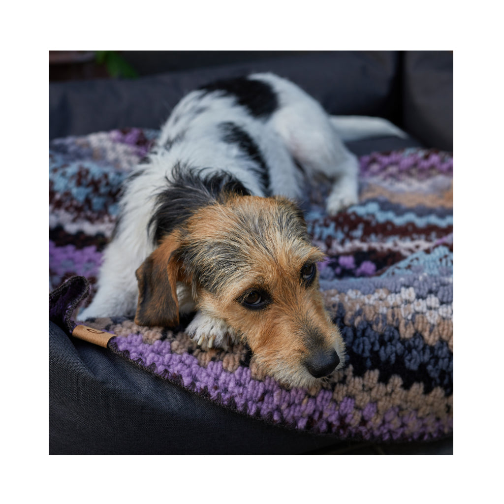 Cloud7 Hundedecke Woodstock