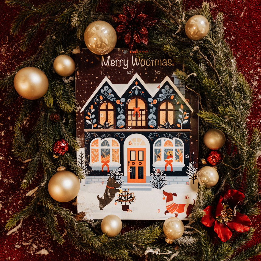 Dekobild Adventskalender für Hunde 2025 "Cozy Dog House" - Pets Best