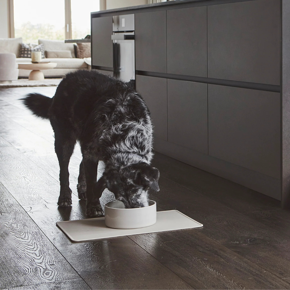 Dekobild Hund mit MiaCara Scodella Napf Greige