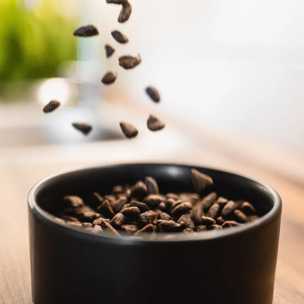 Dekobild PROBE softes Trockenfutter - Tales & Tails