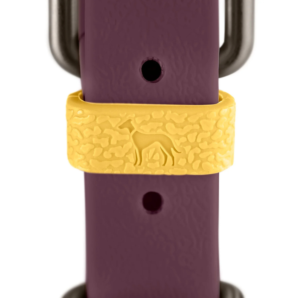 Details Halsband Havanna Brombeer - HUNTER