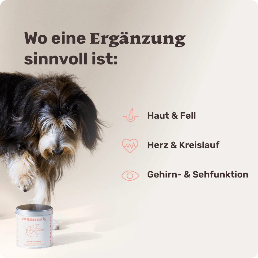 Ergänzung Vitalstoff Drops mit Lachsöl für Hunde - mammaly