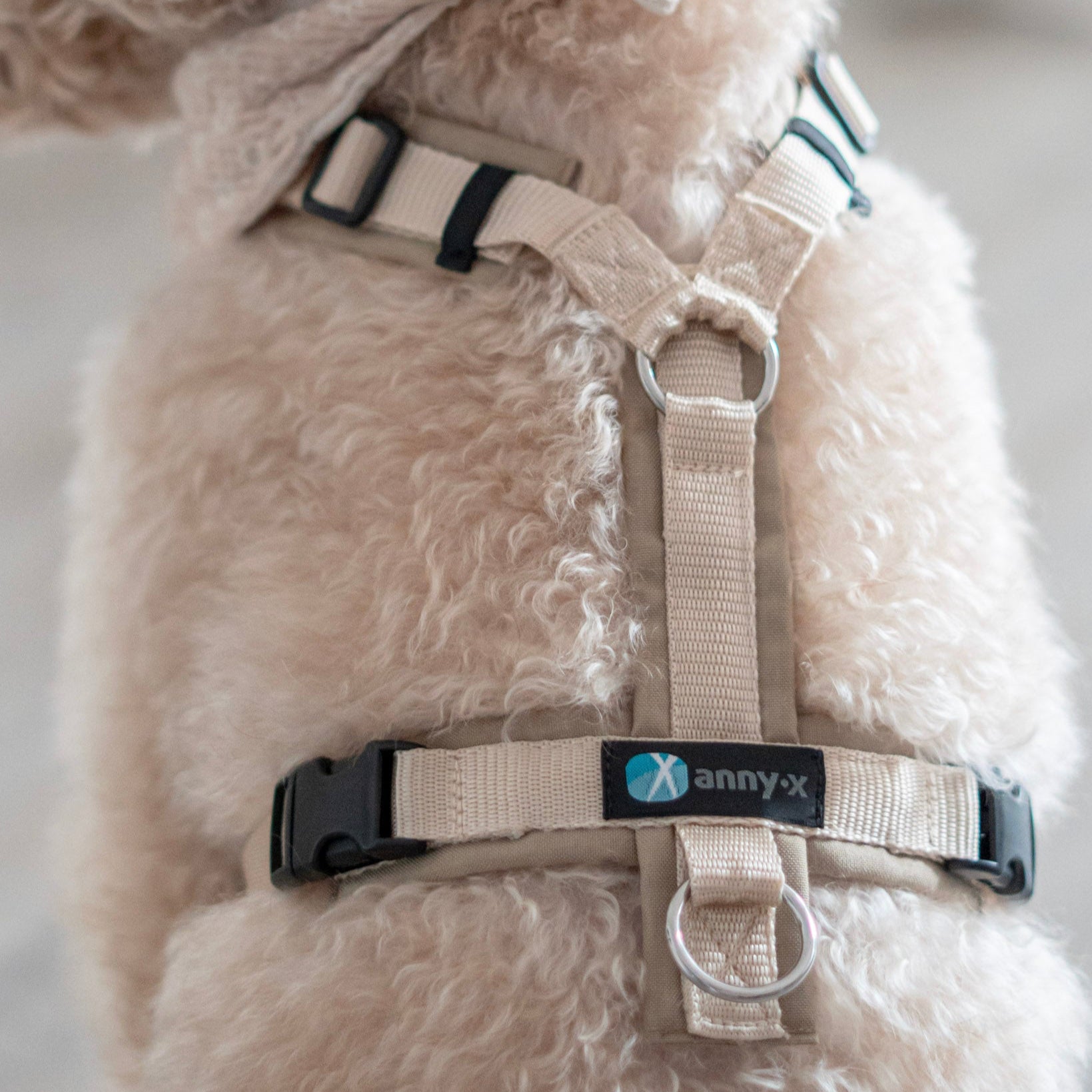 annyx Hundegeschirr Fun