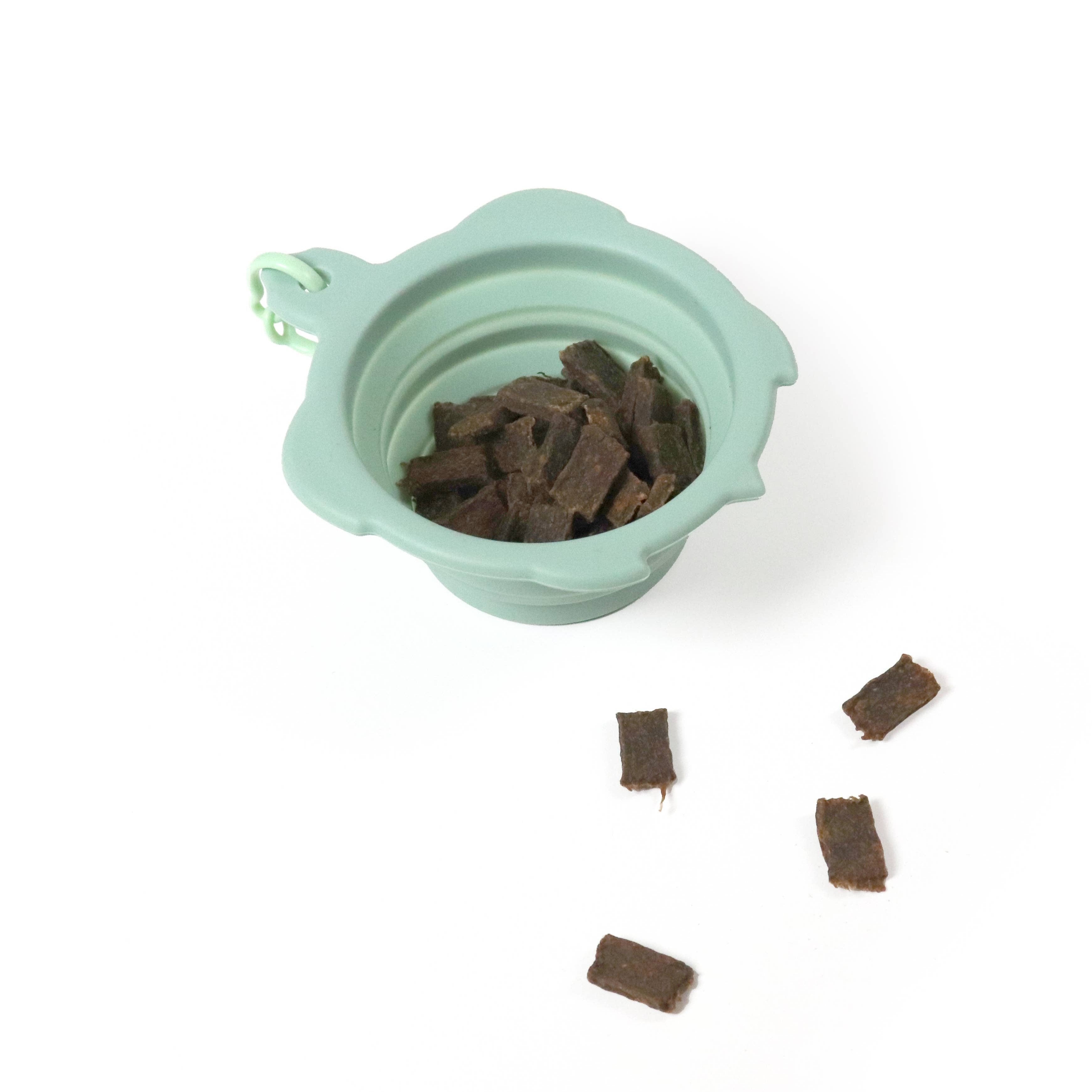 Faltbarer Reisenapf Turtle 200 ml aus grünem Silikon befüllt - United Pets