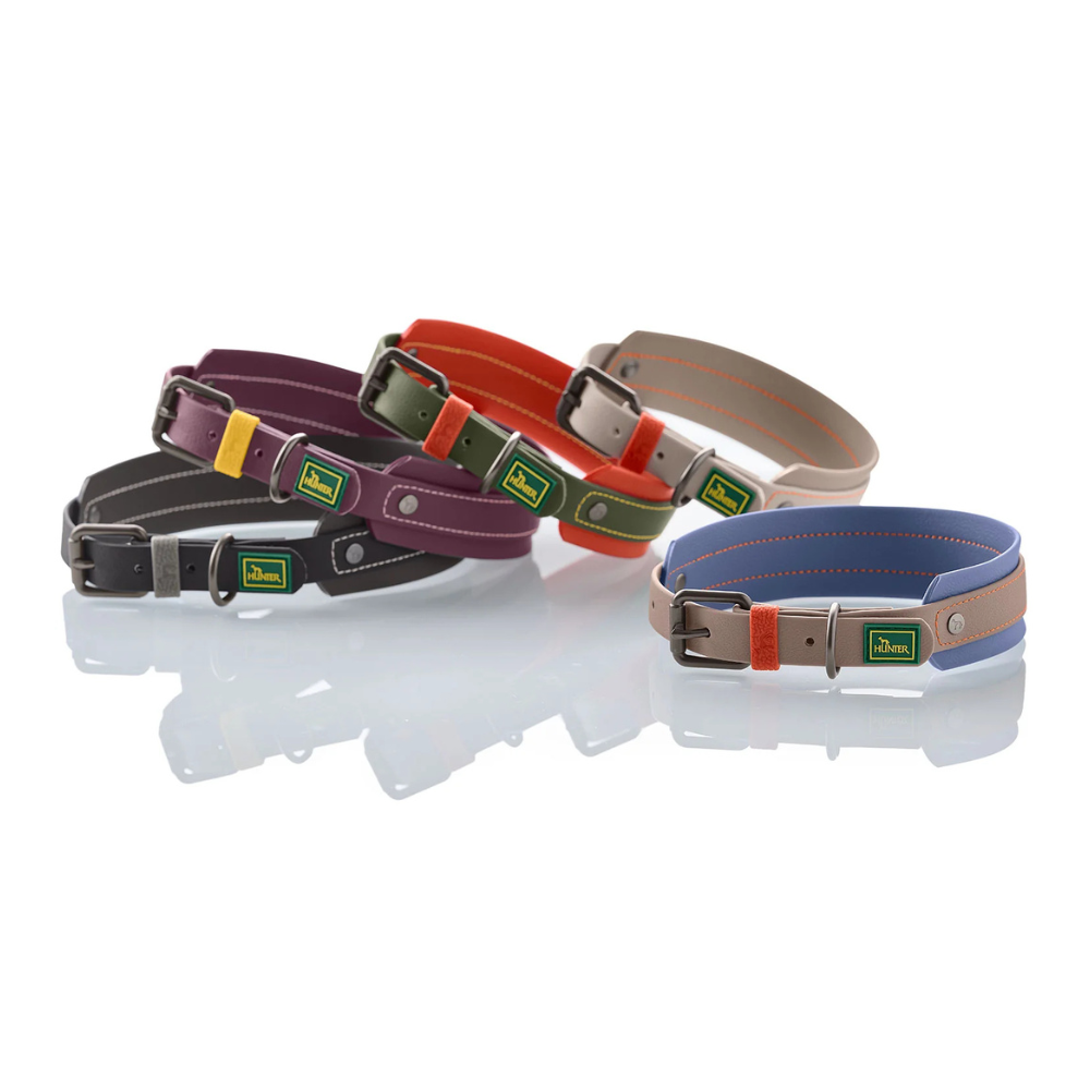 Farbübersicht Halsband Havanna - HUNTER