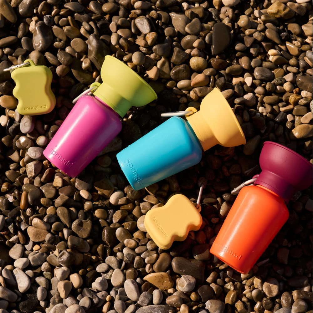 Farbübersicht Reisetrinkflasche Flip Hundeflasche Sommer Edition 2026 - springland