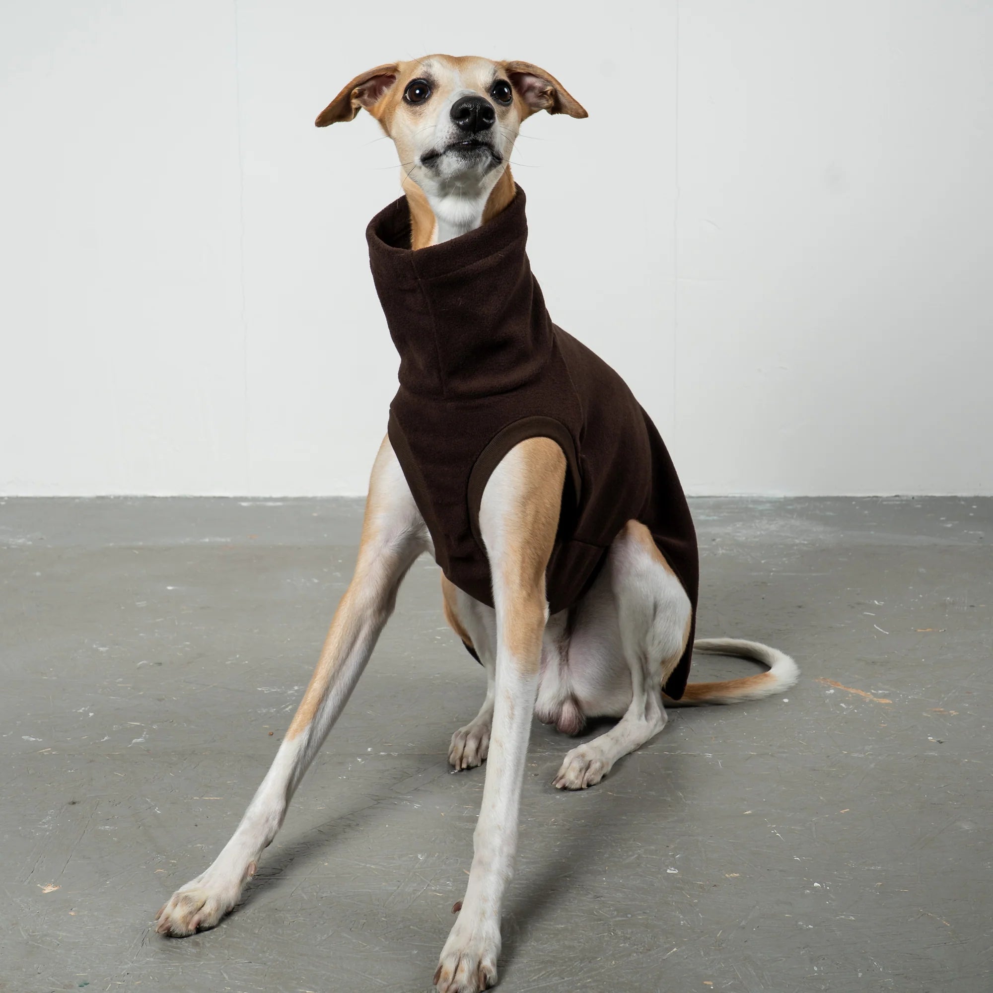 KARMA HUND Fleece Shirt Espresso für Whippet, Windhunde, Podenco, Galgo