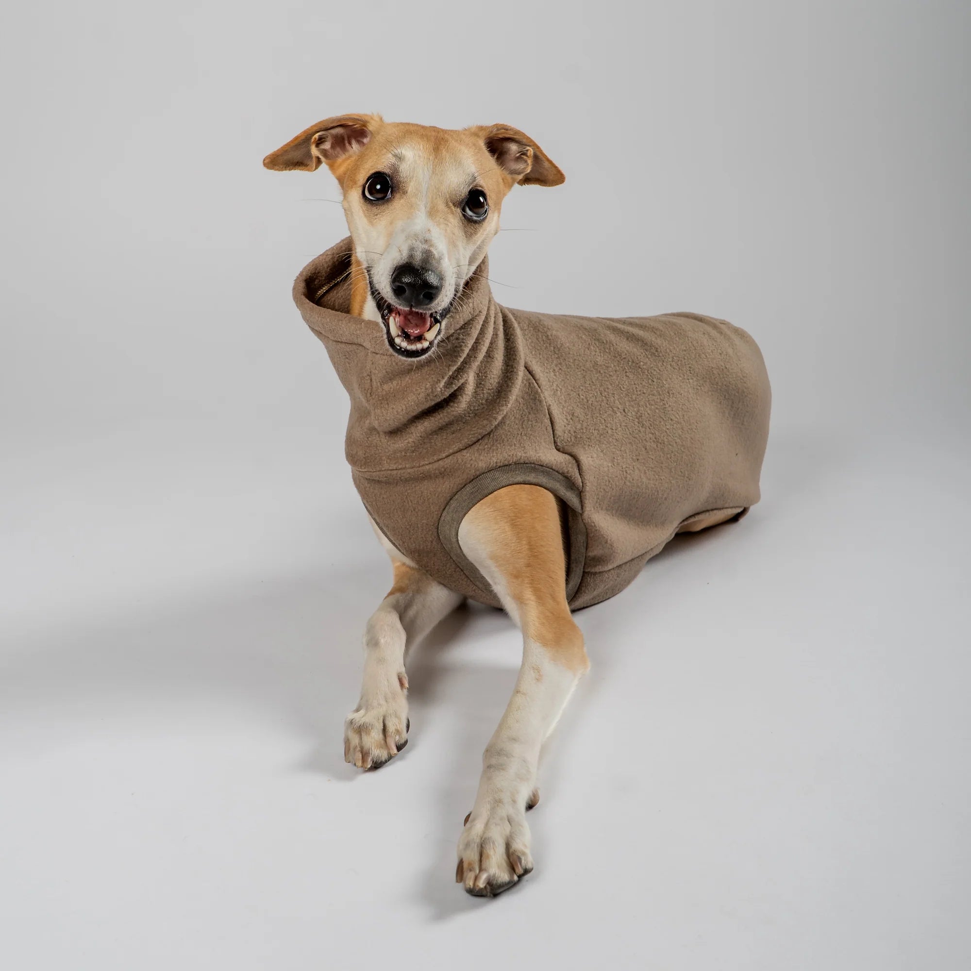 KARMA HUND Fleece Shirt WALNUT für Whippet, Windhunde, Podenco, Galgo