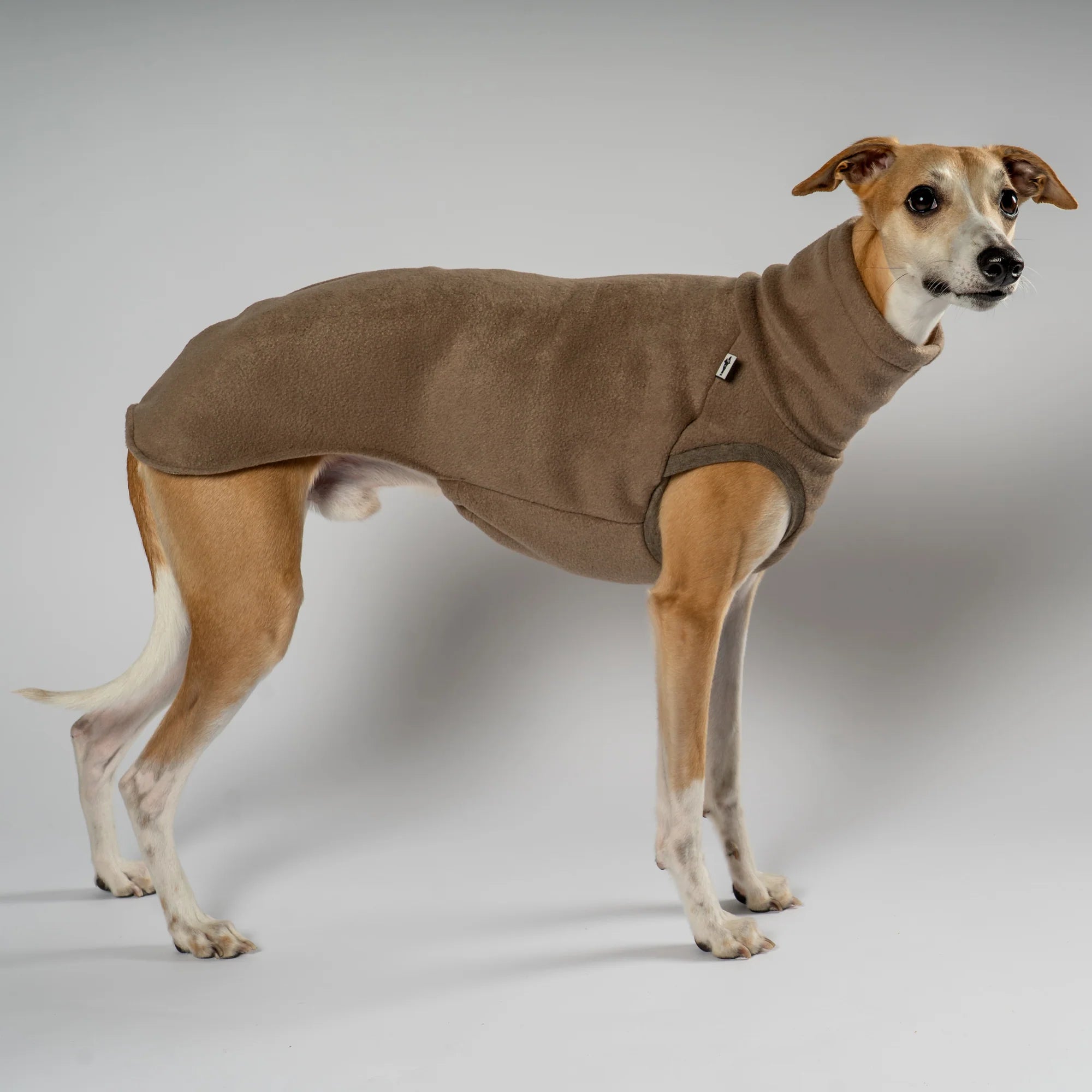 KARMA HUND Fleece Shirt WALNUT für Whippet, Windhunde, Podenco, Galgo