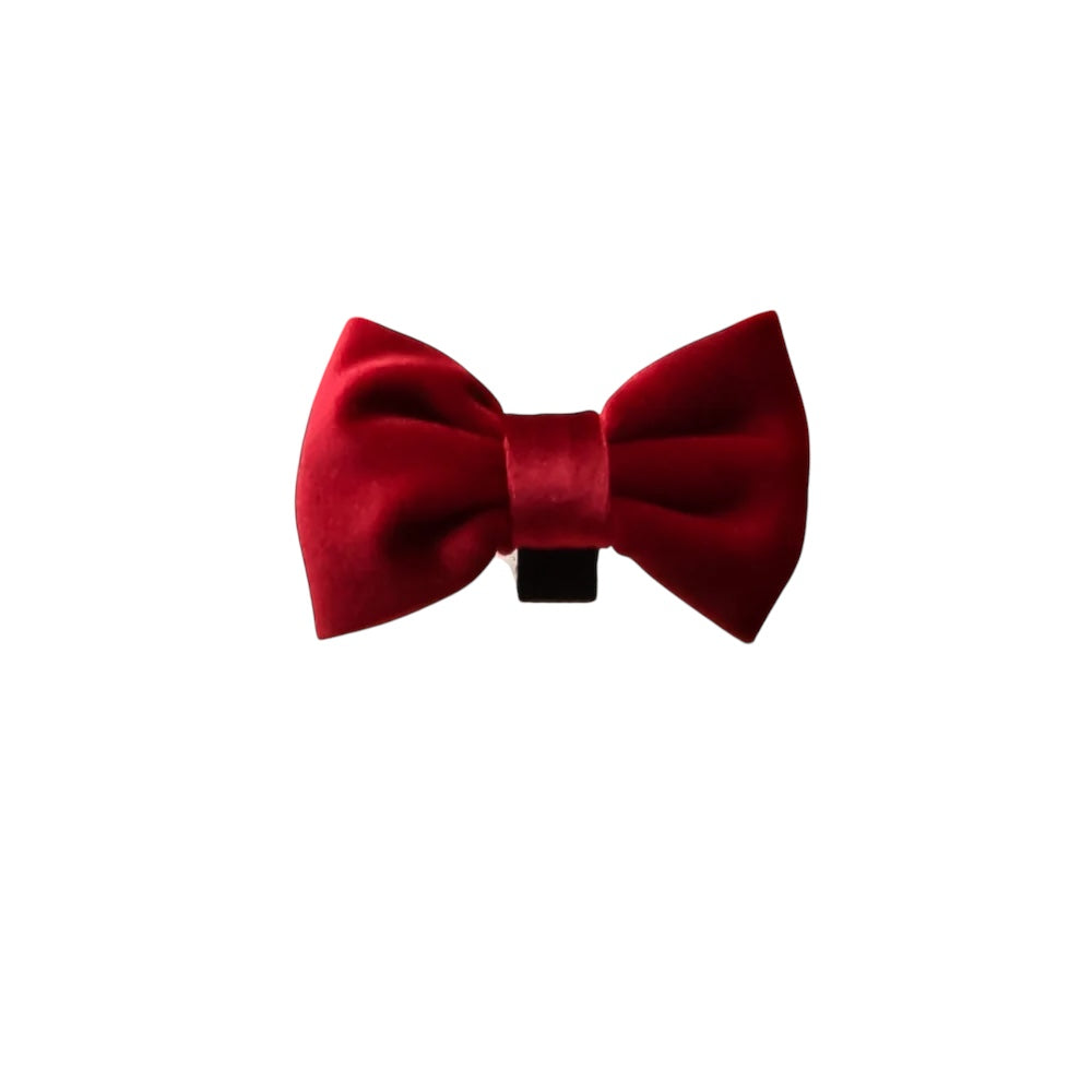 Fliege Velvet Samt Beerenrot - CoCOPUP London