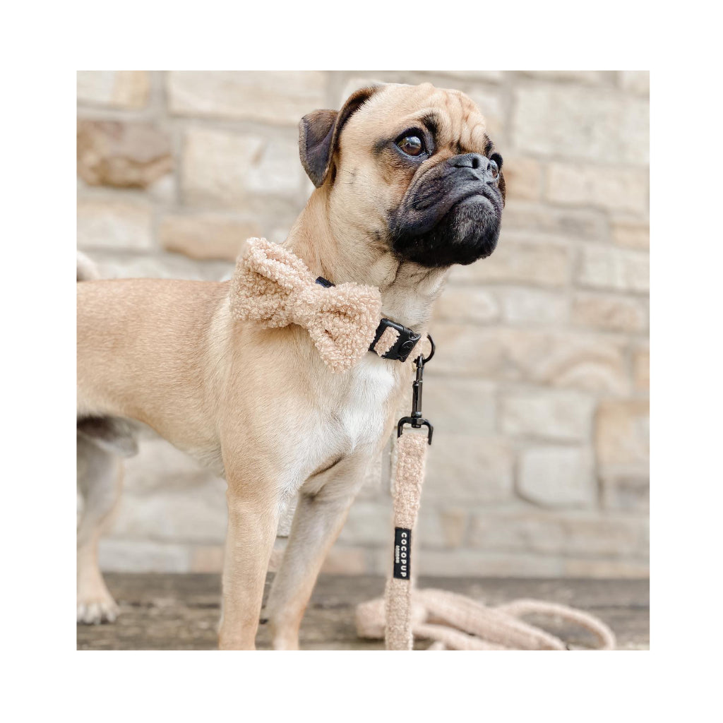 Fliege Teddy beige Rupert