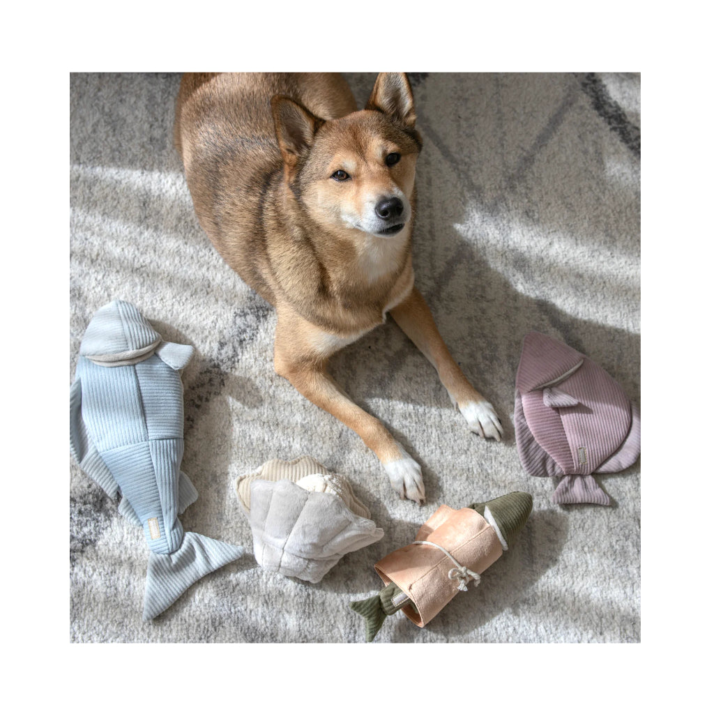 Hund mit Schnüffelspielzeuge - Lambwolf Collective