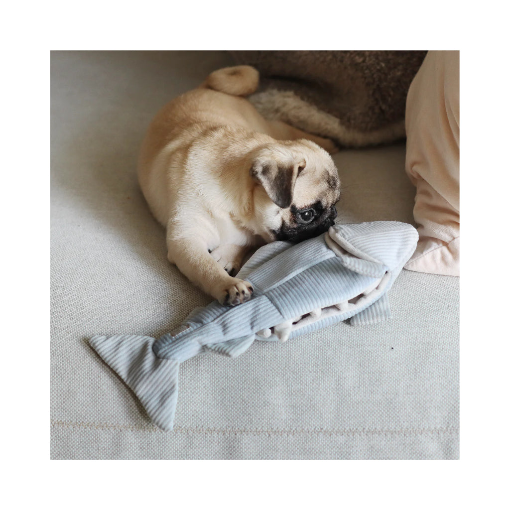 Mops mit Schnüffelspielzeug TROUT Forelle Hellblau - Lambwolf Collective