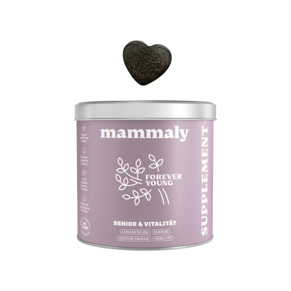 Forever Young Vital-Snack für ältere Hunde - mammaly