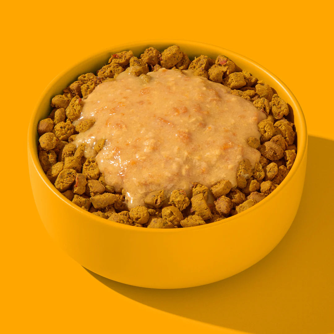 Beispielinhalt FRED Smoothie Huhn mit Kurkuma für Hunde