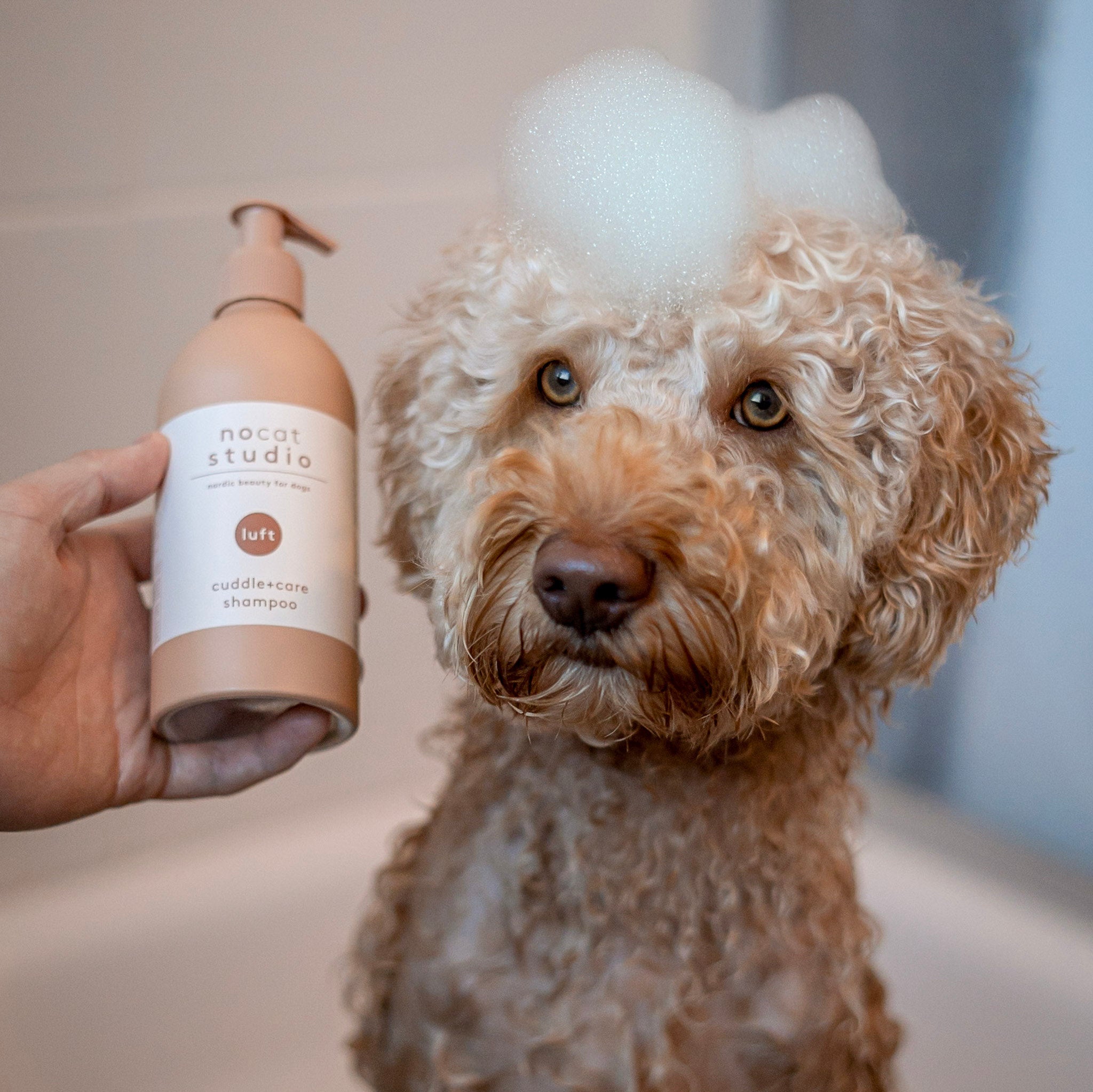 Hund mit Kuschel & Pflegeshampoo LUFT - nocat studio