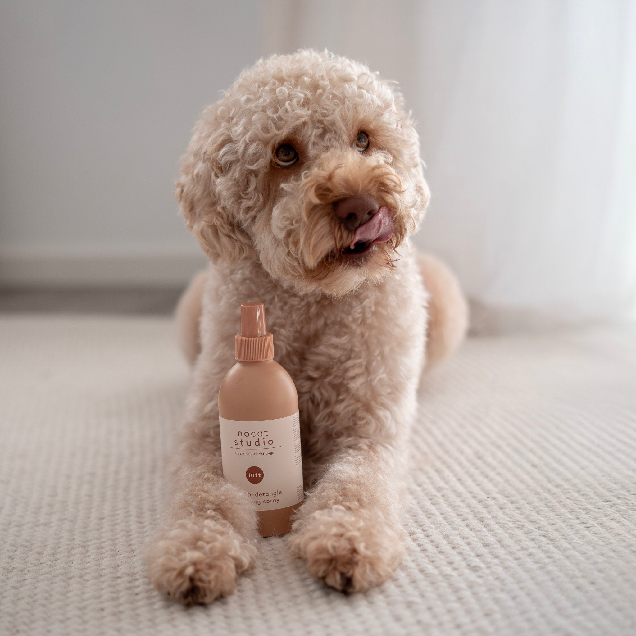 Hund mit Pflegespray Refresh & Detangle LUFT - nocat studio