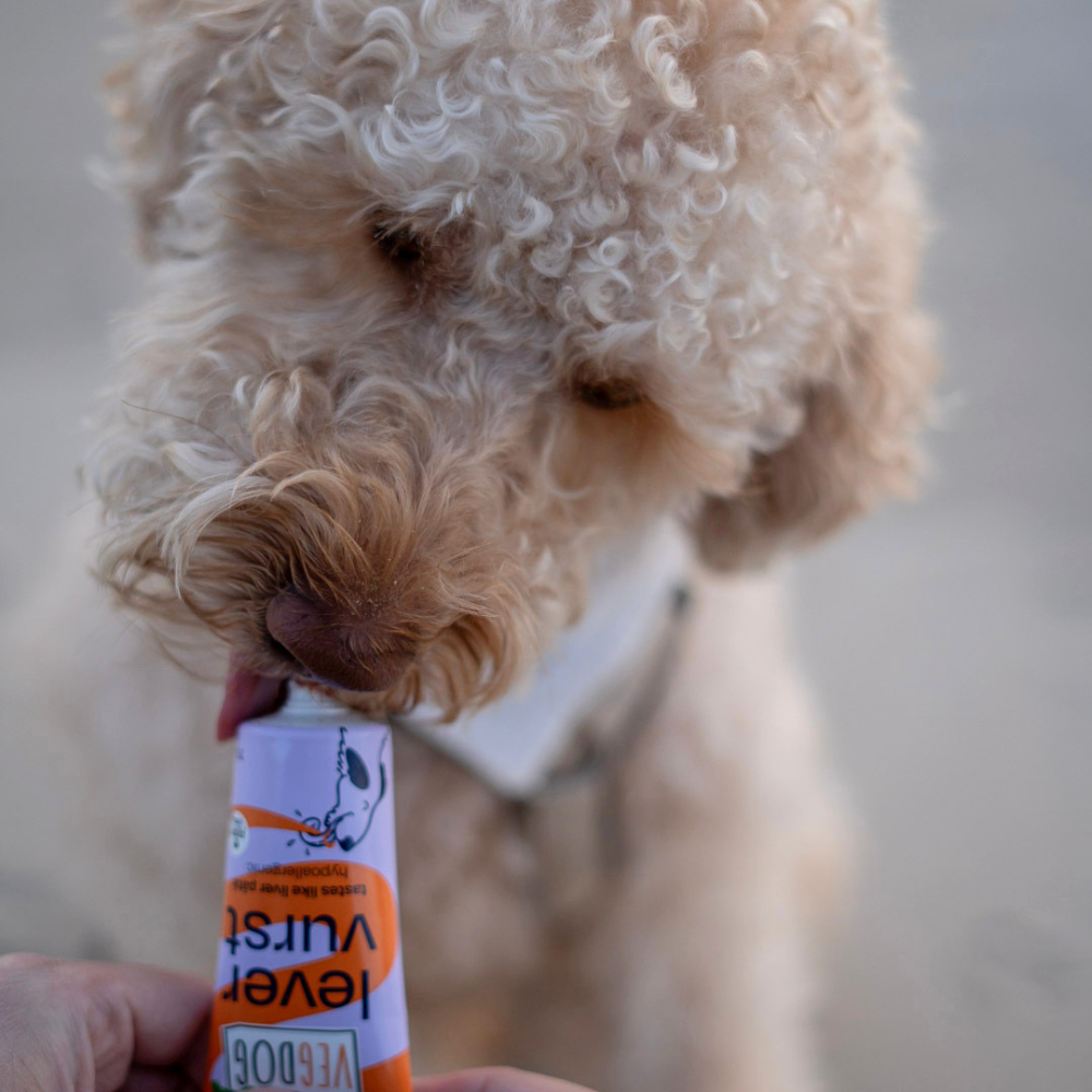 Frietje mit VEGDOG Levervurst