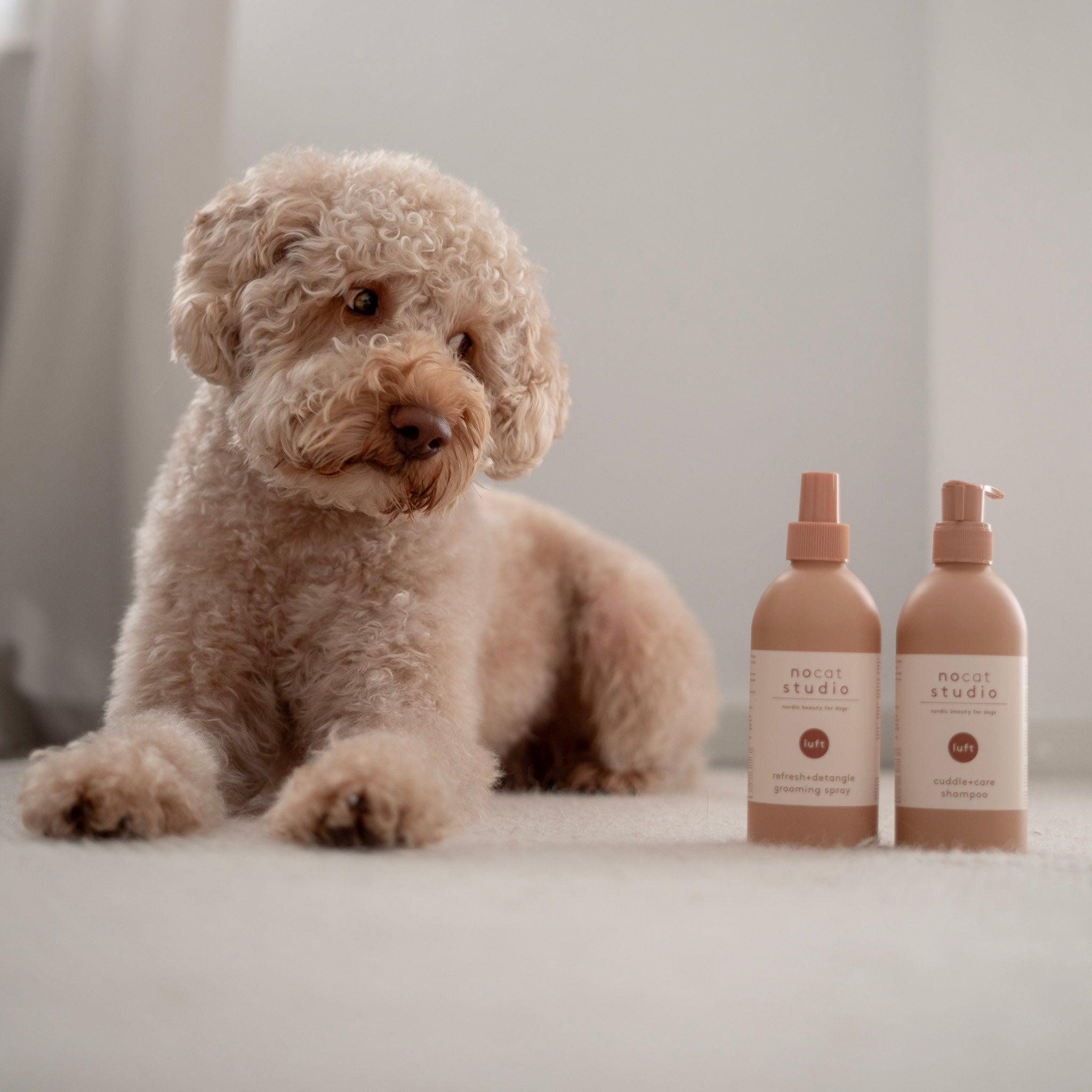 Hund neben Pflegespray & -shampoo Set LUFT - nocat studio