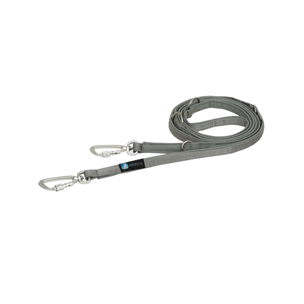 Führleine Safety Fun Grau-Silber - annyx