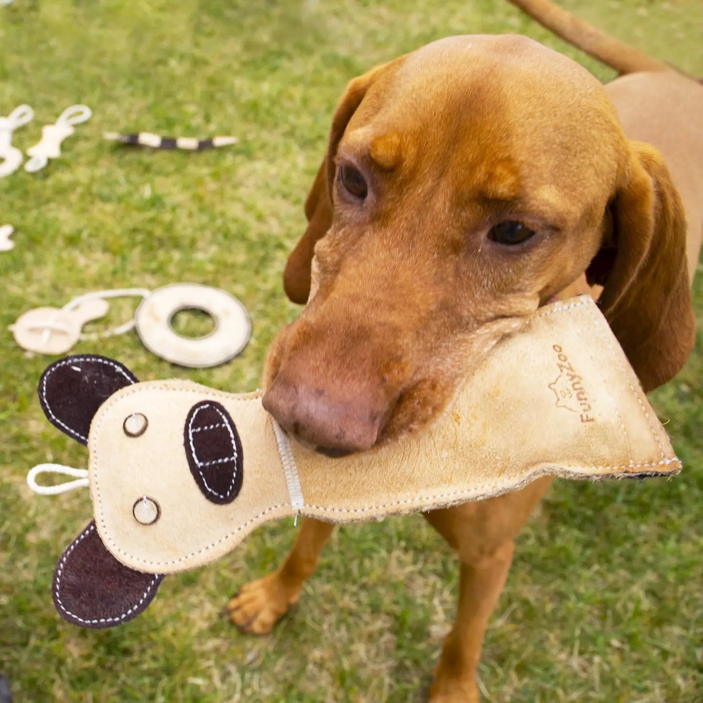 Hund mit Hundespielzeug FERKEL aus Wildleder 2 - Funny Zoo