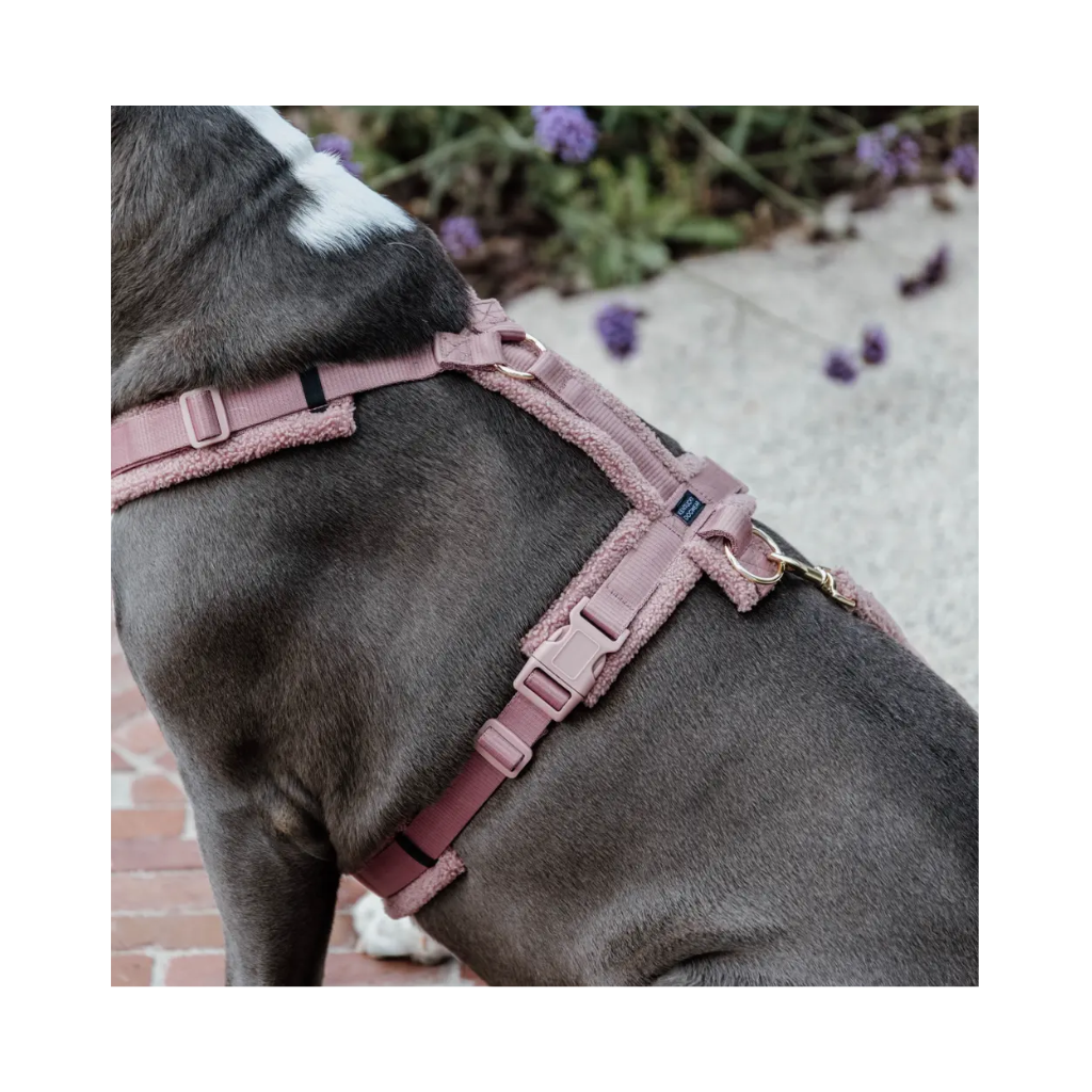 Tragebild Seitenansicht Hundegeschirr Aktiv TEDDY FLEECE Rosa - Kentucky Dogwear