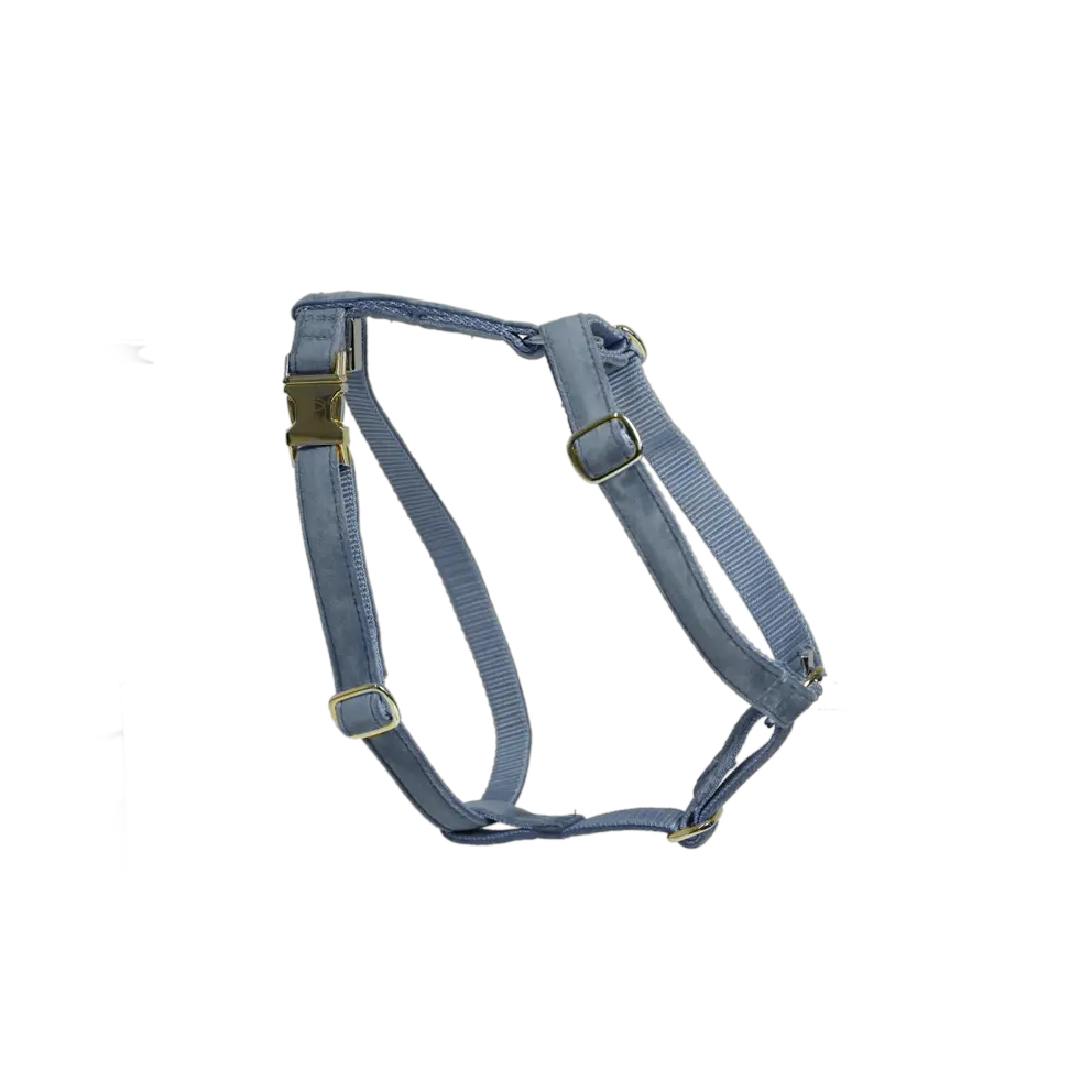 Hundegeschirr LOOP Hellblau - Kentucky Dogwear