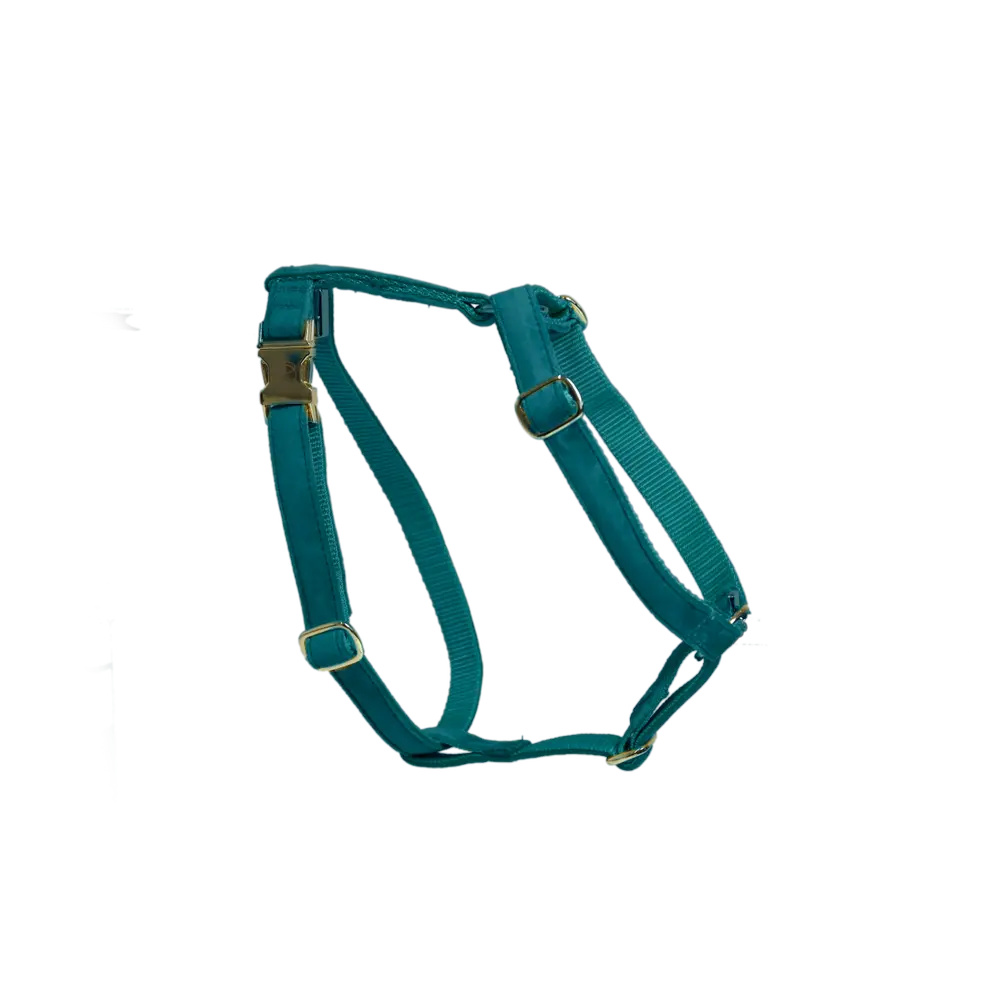 Hundegeschirr LOOP Emerald - Kentucky Dogwear