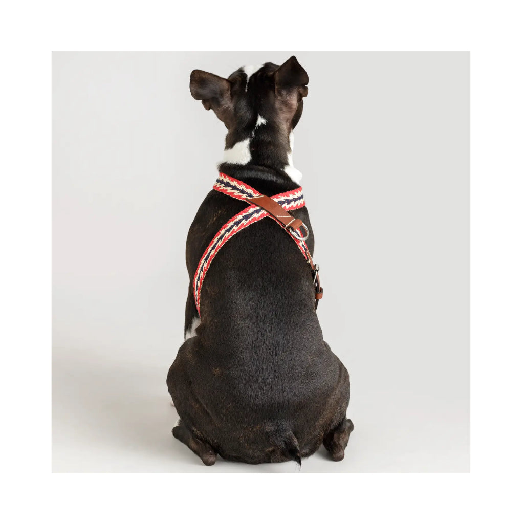 Hund mit Geschirr Peruvian Arrow RED - Buddys Dogwear