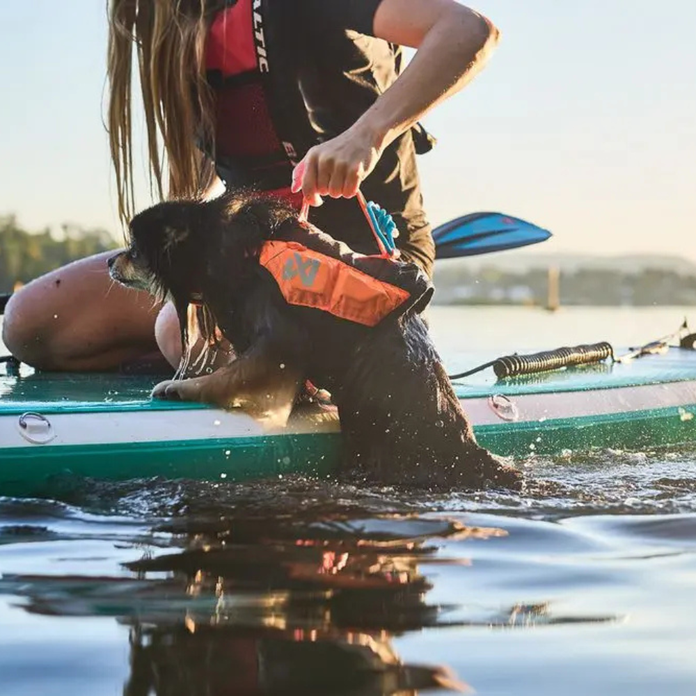 Griff Hunde Schwimmweste PROTECTOR Life Jacket Orange - non-stop dogwear