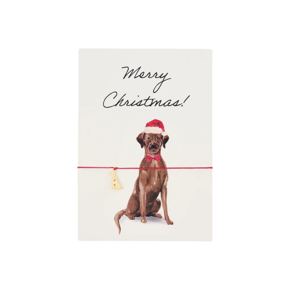 Grußkarte | Armbandkarte: Merry Christmas - Labrador by Vivi.