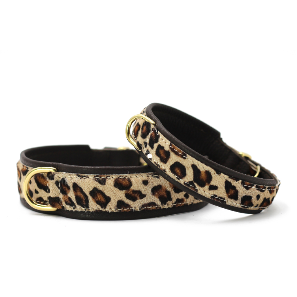 Halsband Afrika Gepard - MAUL Ledermanufaktur