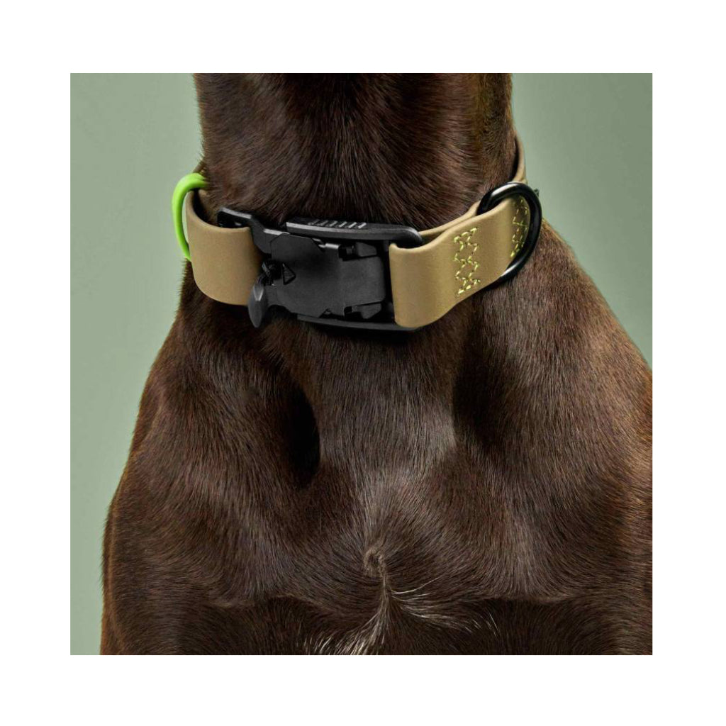 Tragebild Cloud7 Hundehalsband BioThane Ipanema Olive-Neongrün - Cloud7