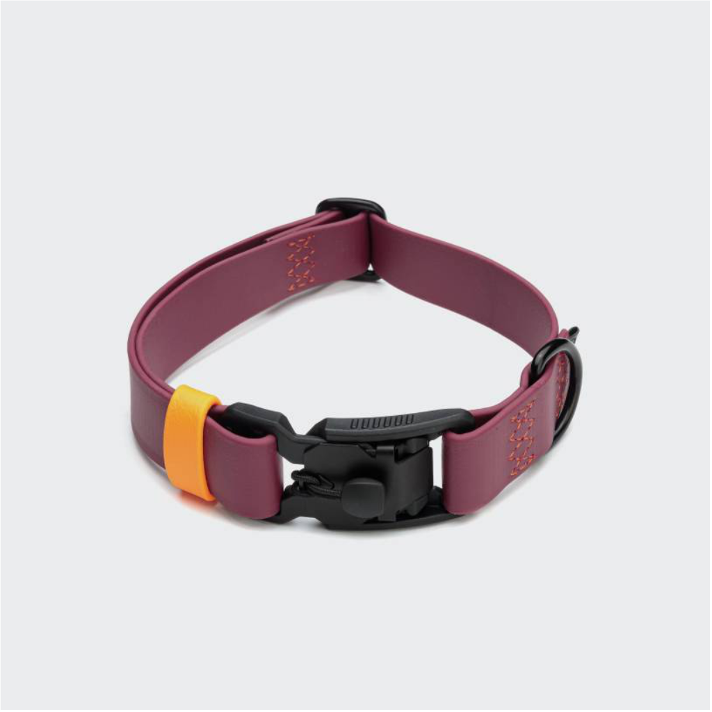 Cloud7 Hundehalsband BioThane Ipanema Magenta-Orange