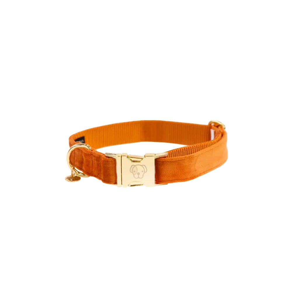 Halsband Velvet Orange - Kentucky Dogwear