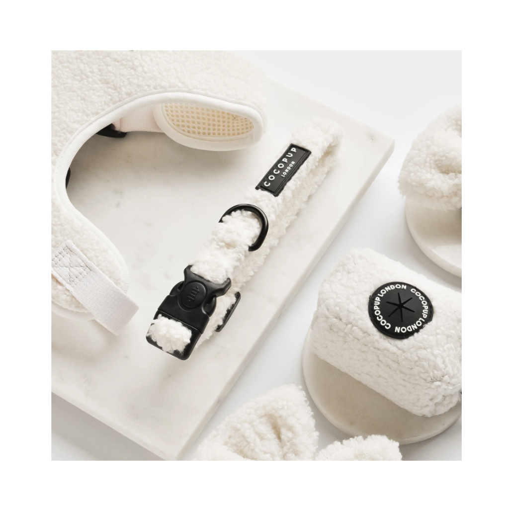 Set Teddy WHITE Dolly - COCOPUP London