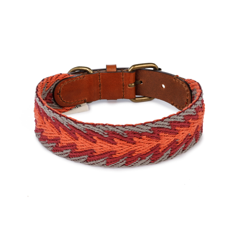 Halsband Peruvian Arrow ORANGE - Buddys Dogwear