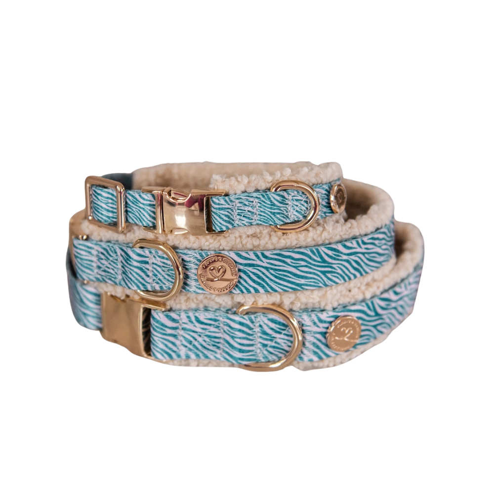 Halsband Teddy Nobu - floofs & cookies