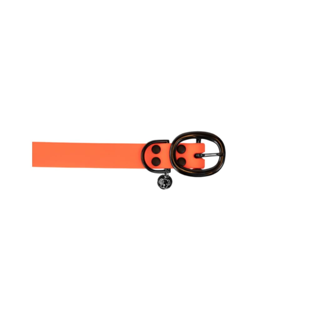 Schnalle Hundehalsband Soft Rubber Orange - Kentucky Dogwear