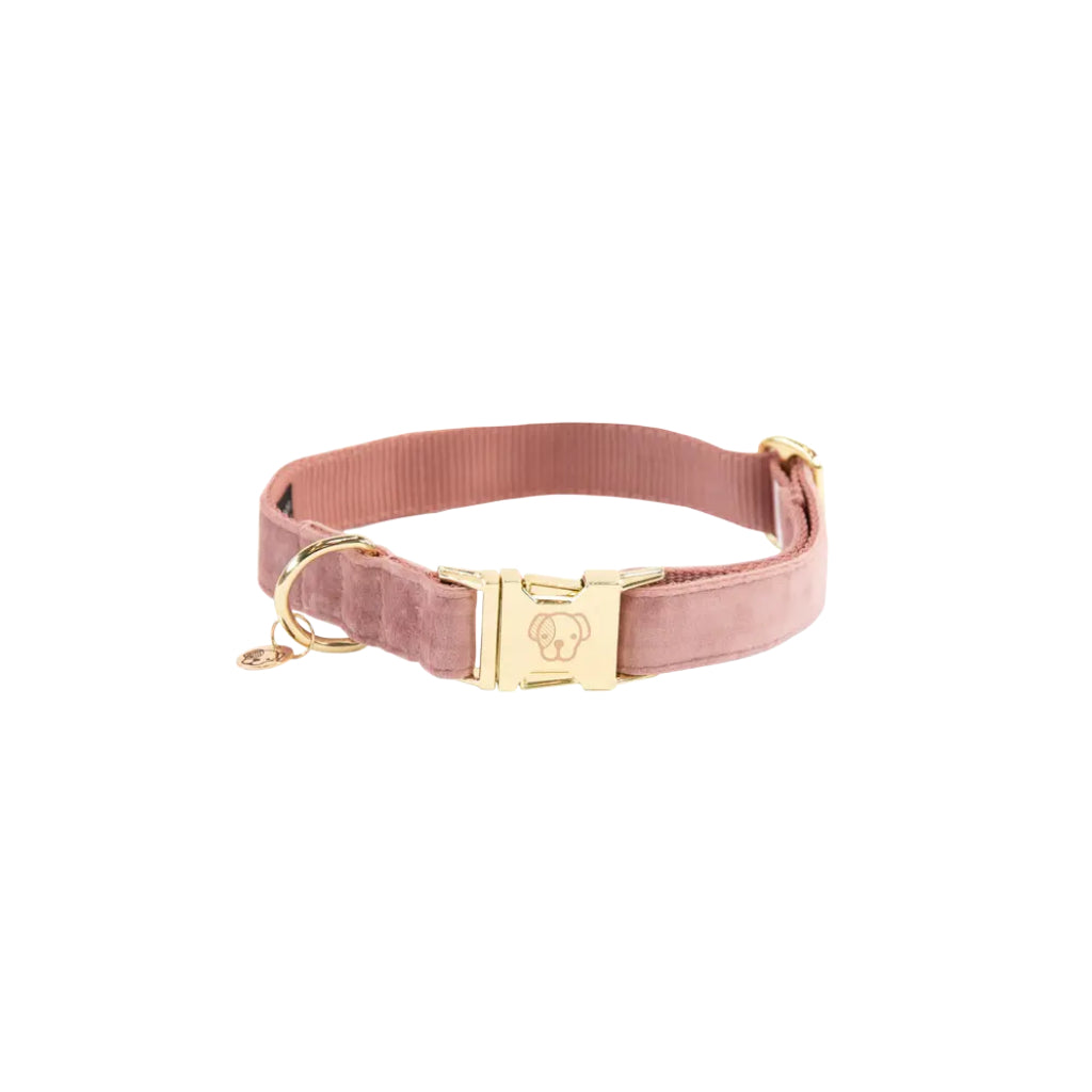 Halsband Velvet Altrosa - Kentucky Dogwear