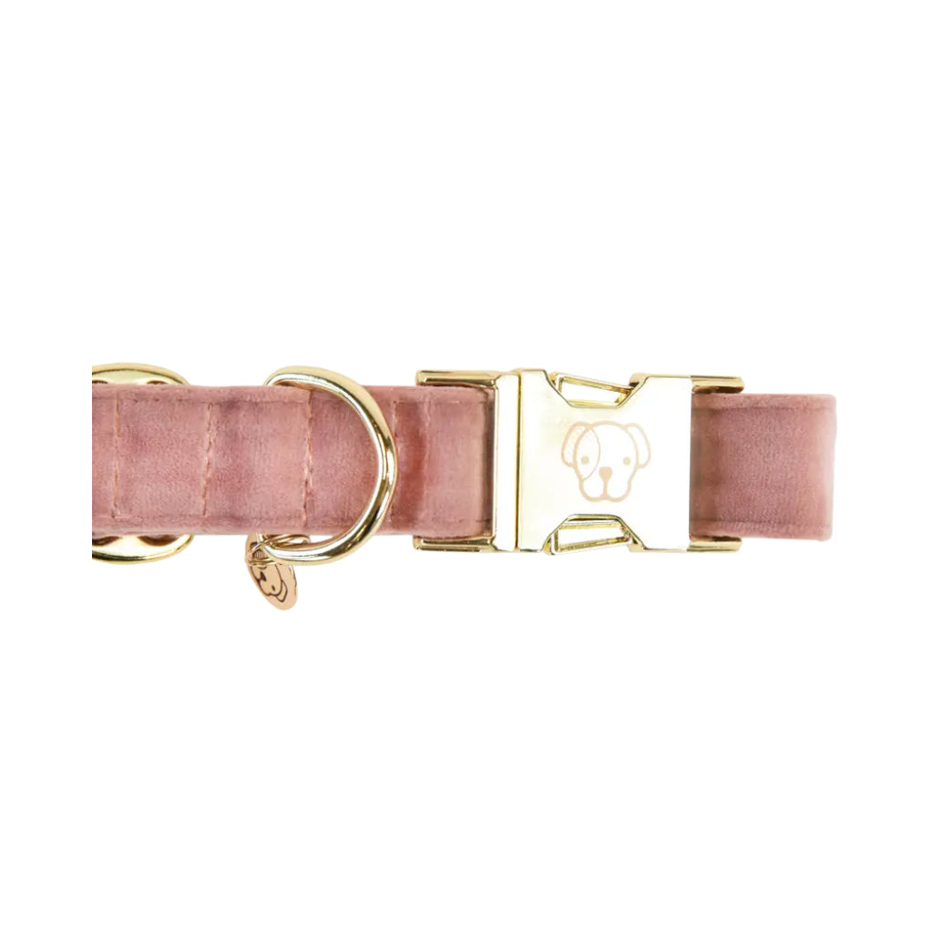 Details Halsband Velvet Altrosa - Kentucky Dogwear