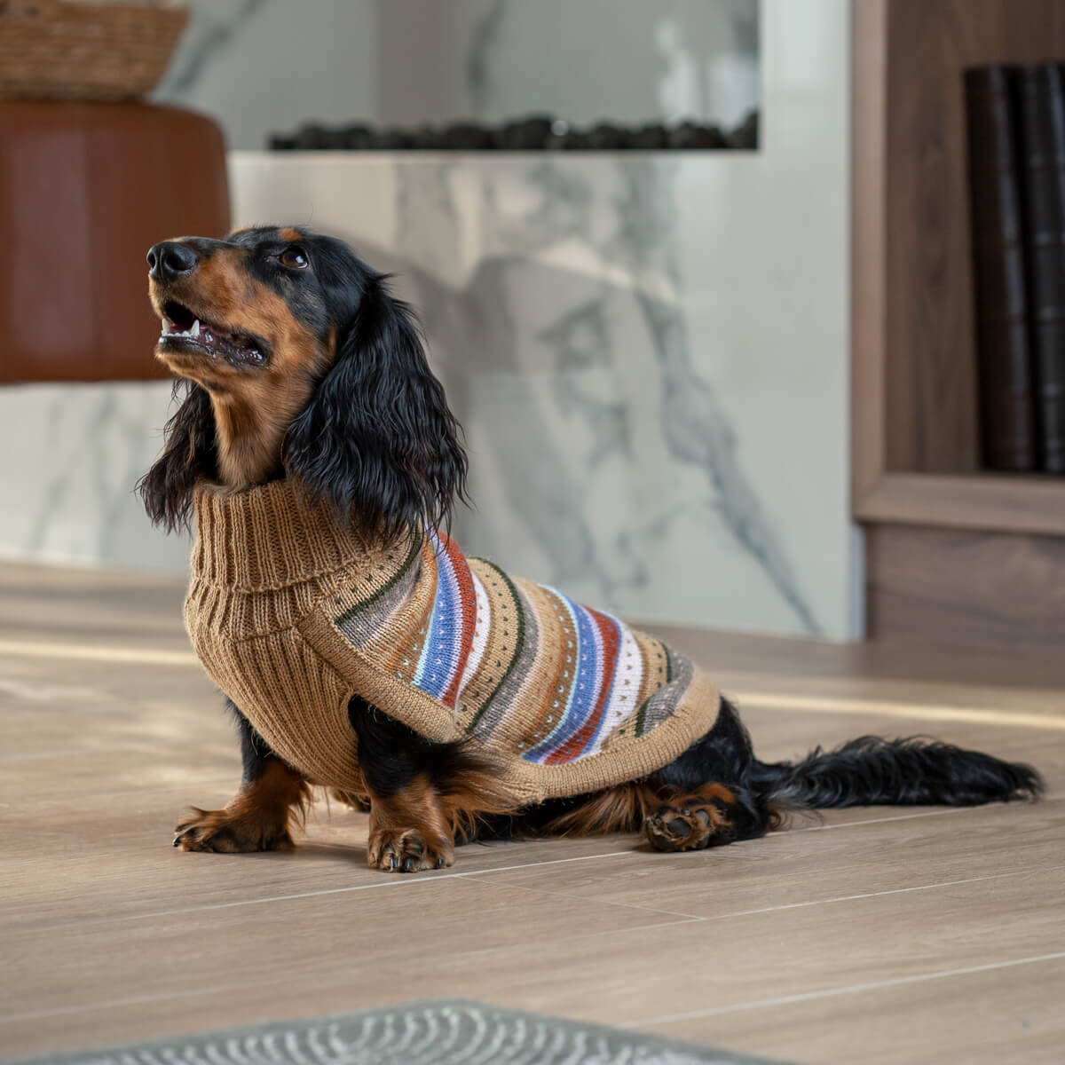 Tragebild 2 Hundepullover Hella Autumn aus Alpaka - ALQO WASI
