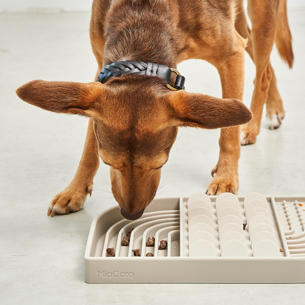 Hund mit Aperitivo Beschäftigungsspielzeug Greige 2 - MiaCara