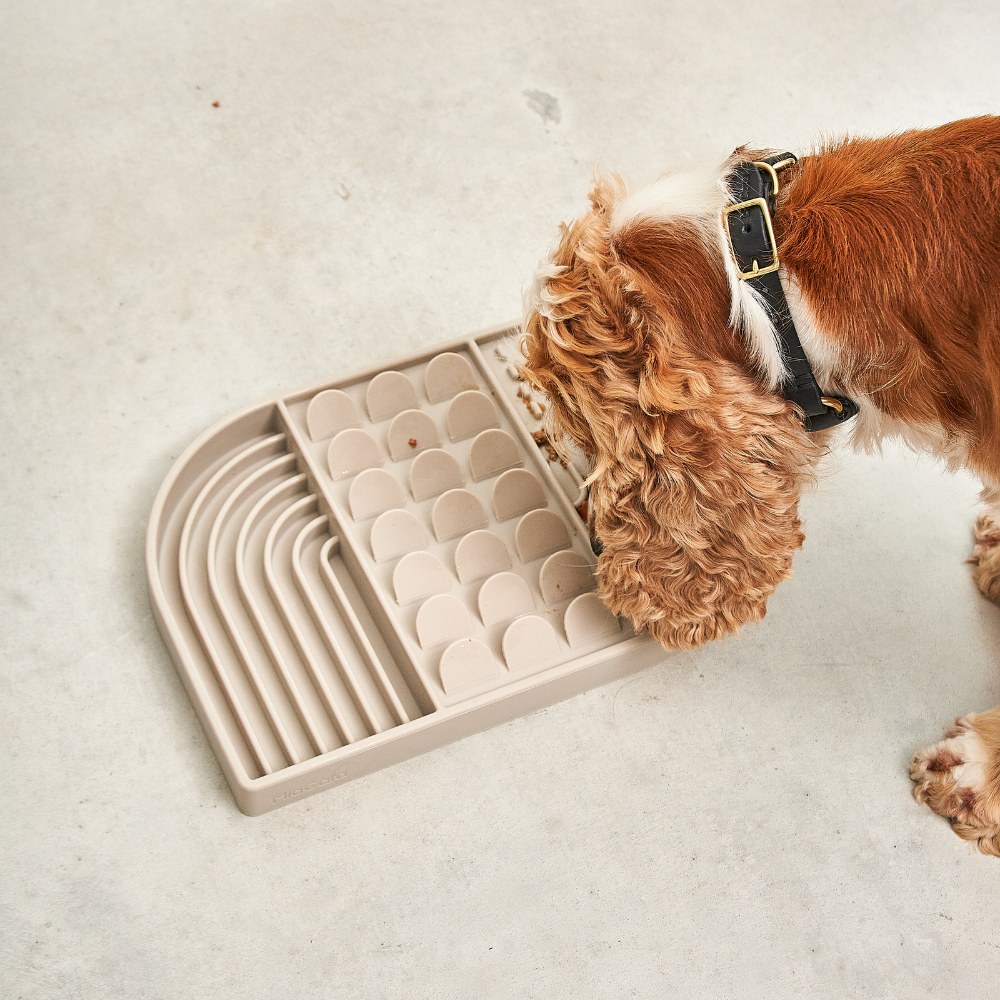 Hund mit Aperitivo Beschäftigungsspielzeug Greige 3 - MiaCara