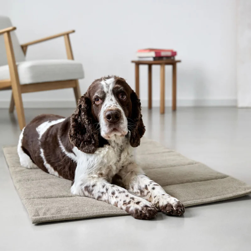 Hund auf Hundematte ALMA Greige - PALOPA