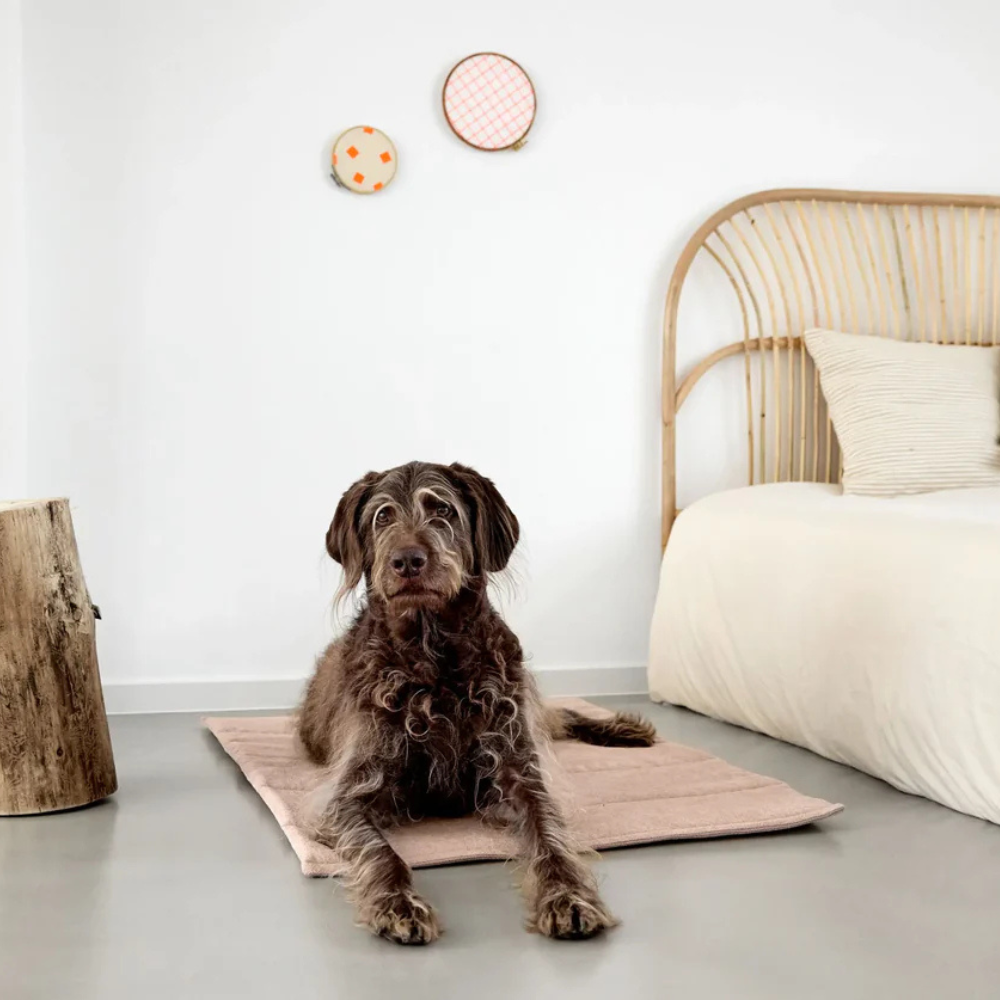 Hund auf Hundematte ALMA Rosa - PALOPA