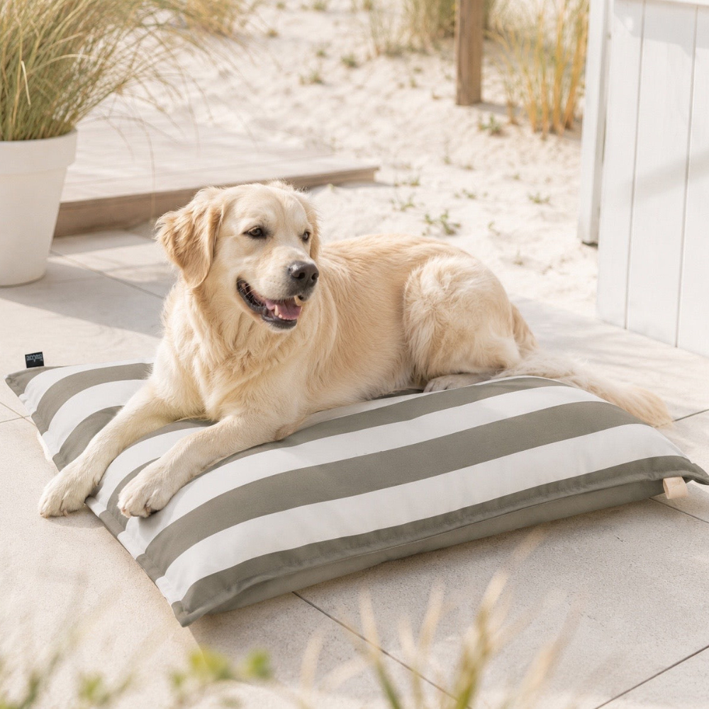 Hund auf MiaCara Hundekissen Giardino Slim Outdoor Taupe/White
