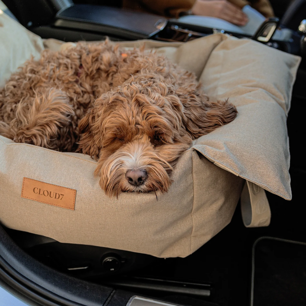 Hund in Cloud7 Hundeautositz Getaway Sand tragbar