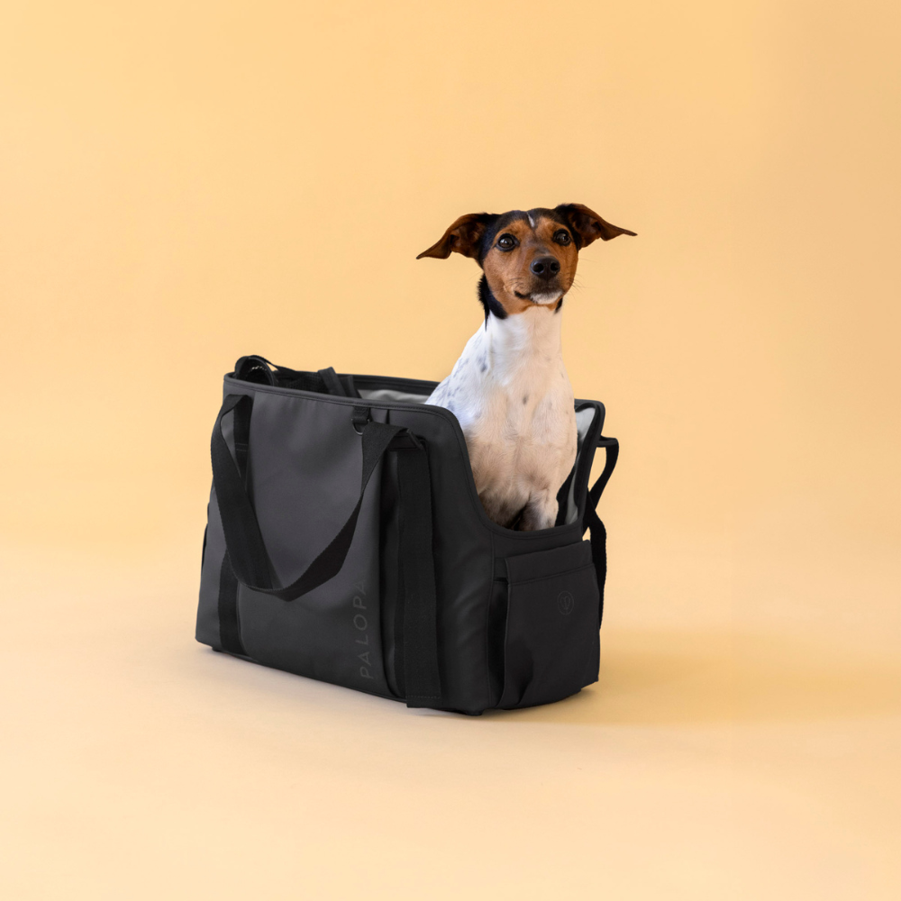 Hund in Hundetragetasche WEDA Black - PALOPA