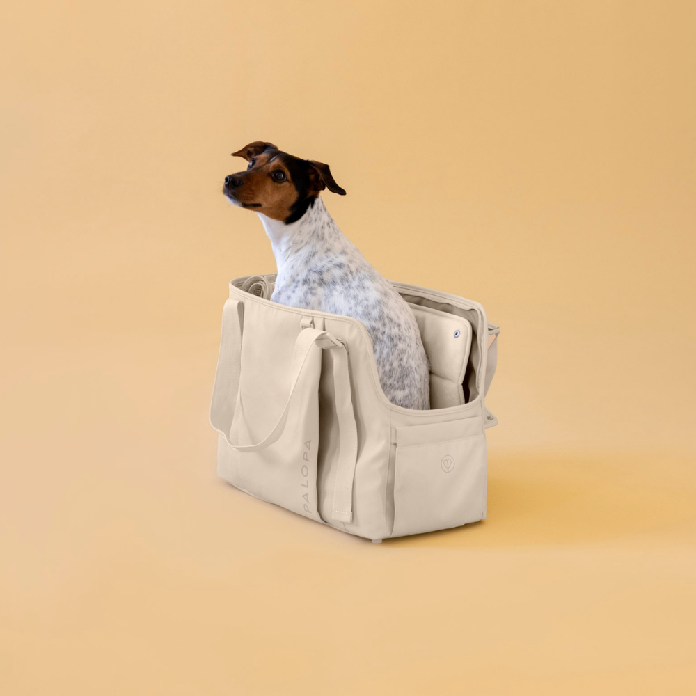 Hund in Hundetragetasche WEDA Creme - PALOPA
